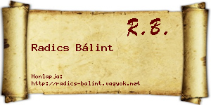 Radics Bálint névjegykártya