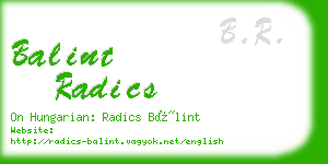 balint radics business card